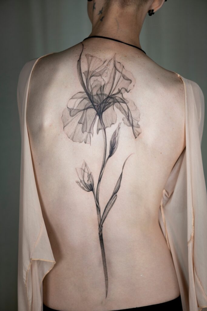 Tatuaż fineline x-ray przedstawiający irysa na plecach wzdłuż kręgosłupa, delikatny botaniczny motyw wykonany w Częstochowie.