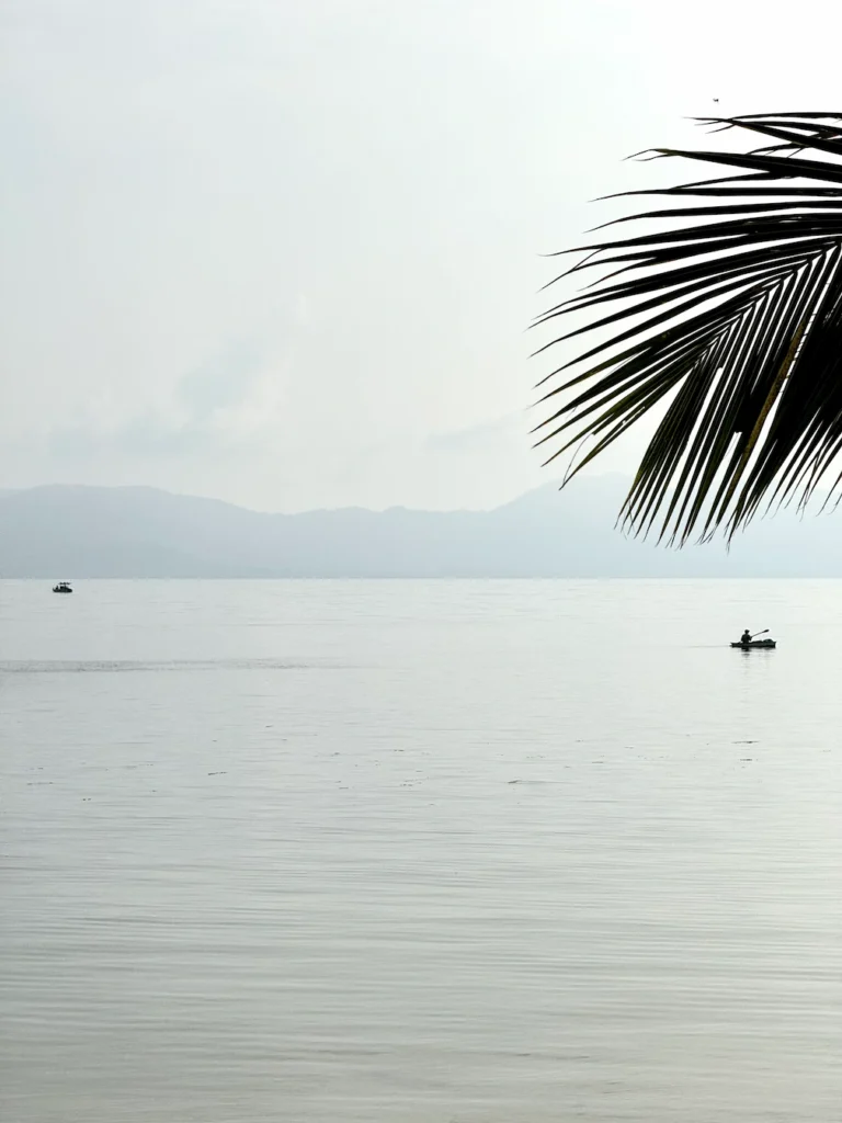 Inspiracje z podróży i guest spotów Wiktorii Olejnik – natura jako źródło pomysłów na tatuaże.